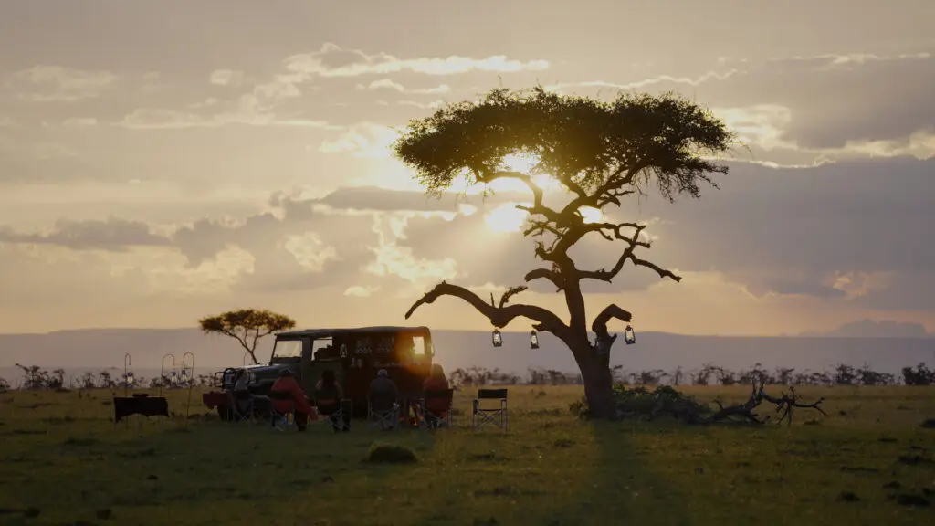 safari sundowners about us asilia africa