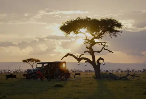 safari sundowners about us asilia africa