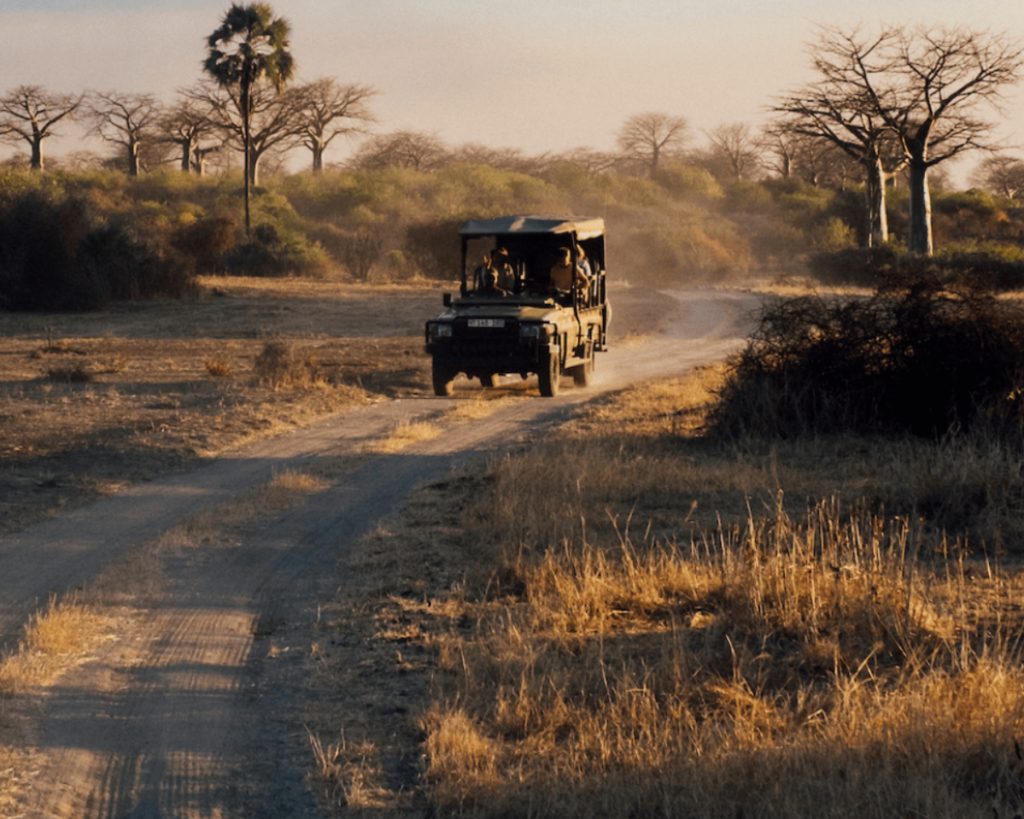 asilia africa safari vehicle driving along a dusty road at sunrise in southern tanzania