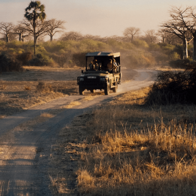 asilia africa safari vehicle driving along a dusty road at sunrise in southern tanzania