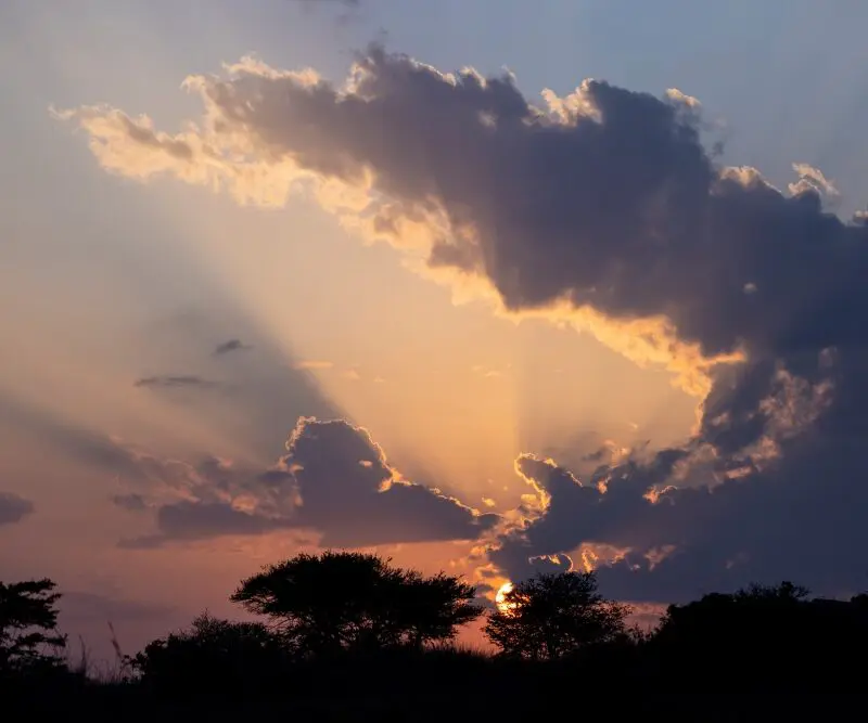 The sun rising in the Serengeti National Park, Tanzania.
