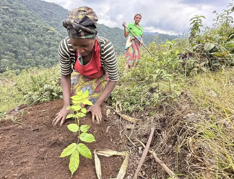A local member of the community plants another young sapling.