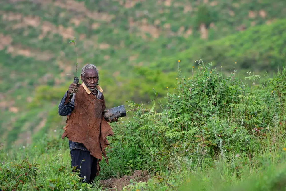 A man plants saplings on the slopes of Erebero Hills, Uganda.