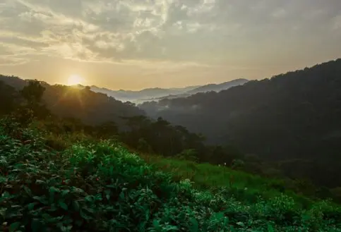 Bwindi Impenetrable Forest views from Erebero Hills, Uganda.