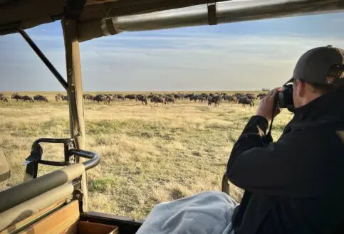 Safari traveller on a game drive, using binoculars to see wildebeest in the distance