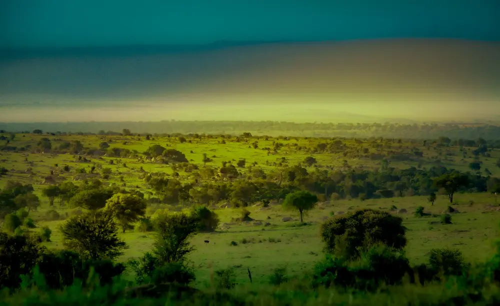 The plains of the Serengeti in green season.