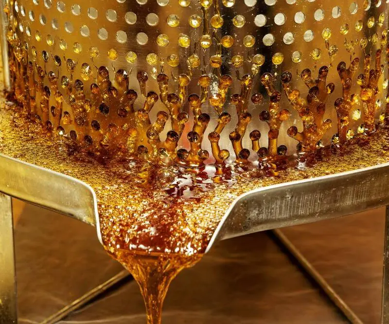 A honey press extracting honey at The Maa Trust, Kenya.