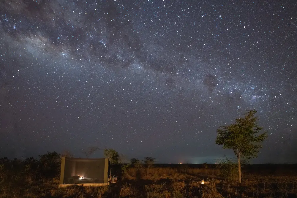 Safari night sky