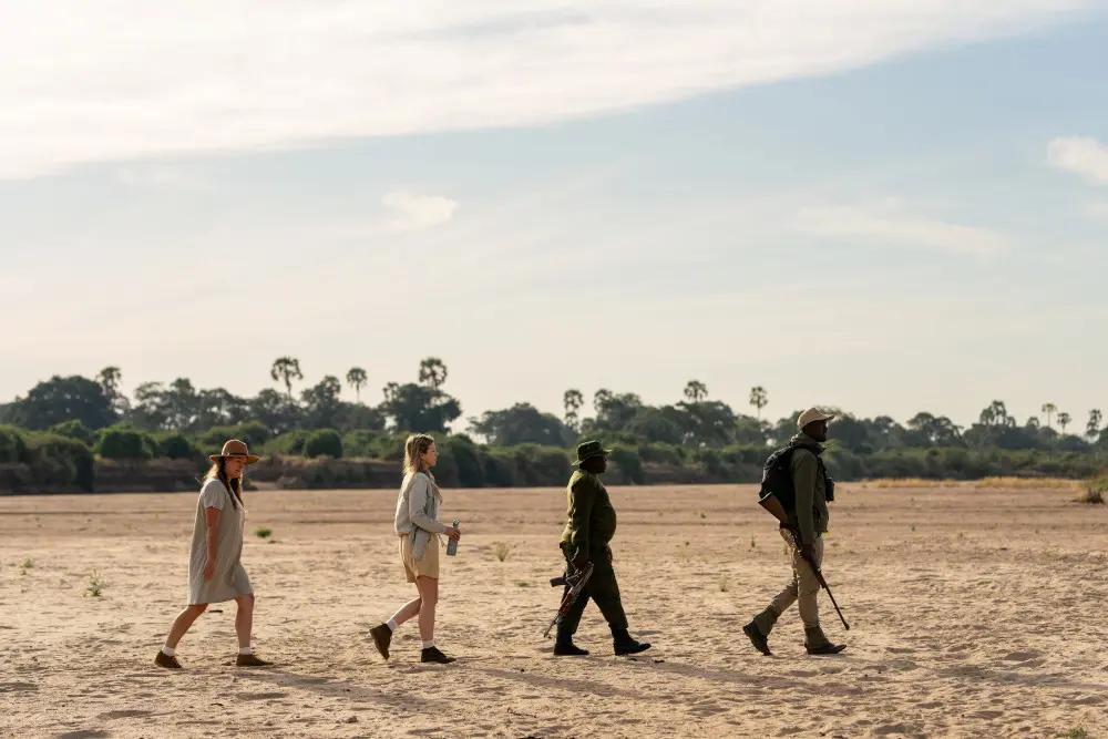 Walking safari in the dry riverbeds in Ruaha National Park, Tanzania.