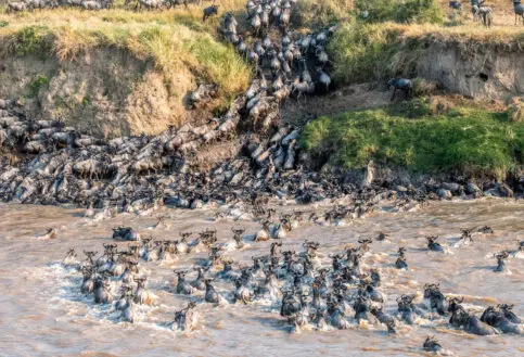 Asilia Camp Lodges Sayari Camp Carousel13