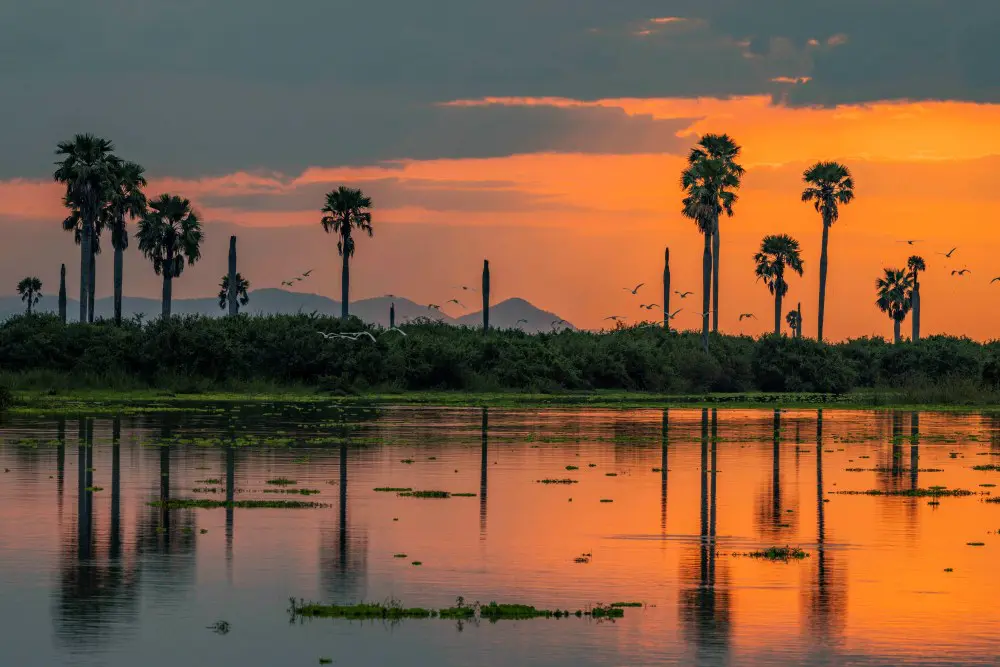 Sunset over the waterways of Nyerere National Park, southern Tanzania.