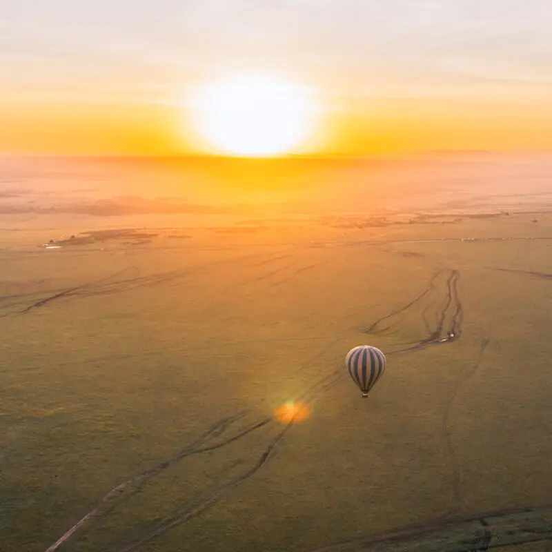 Sunrise balloon safari