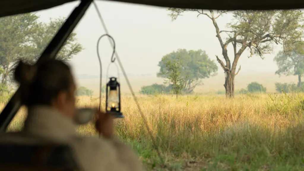 Asilia Guest at Sunrise