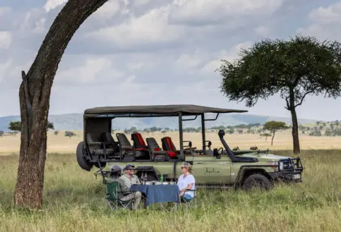 Asilia Guests Having Lunch in The Serengeti