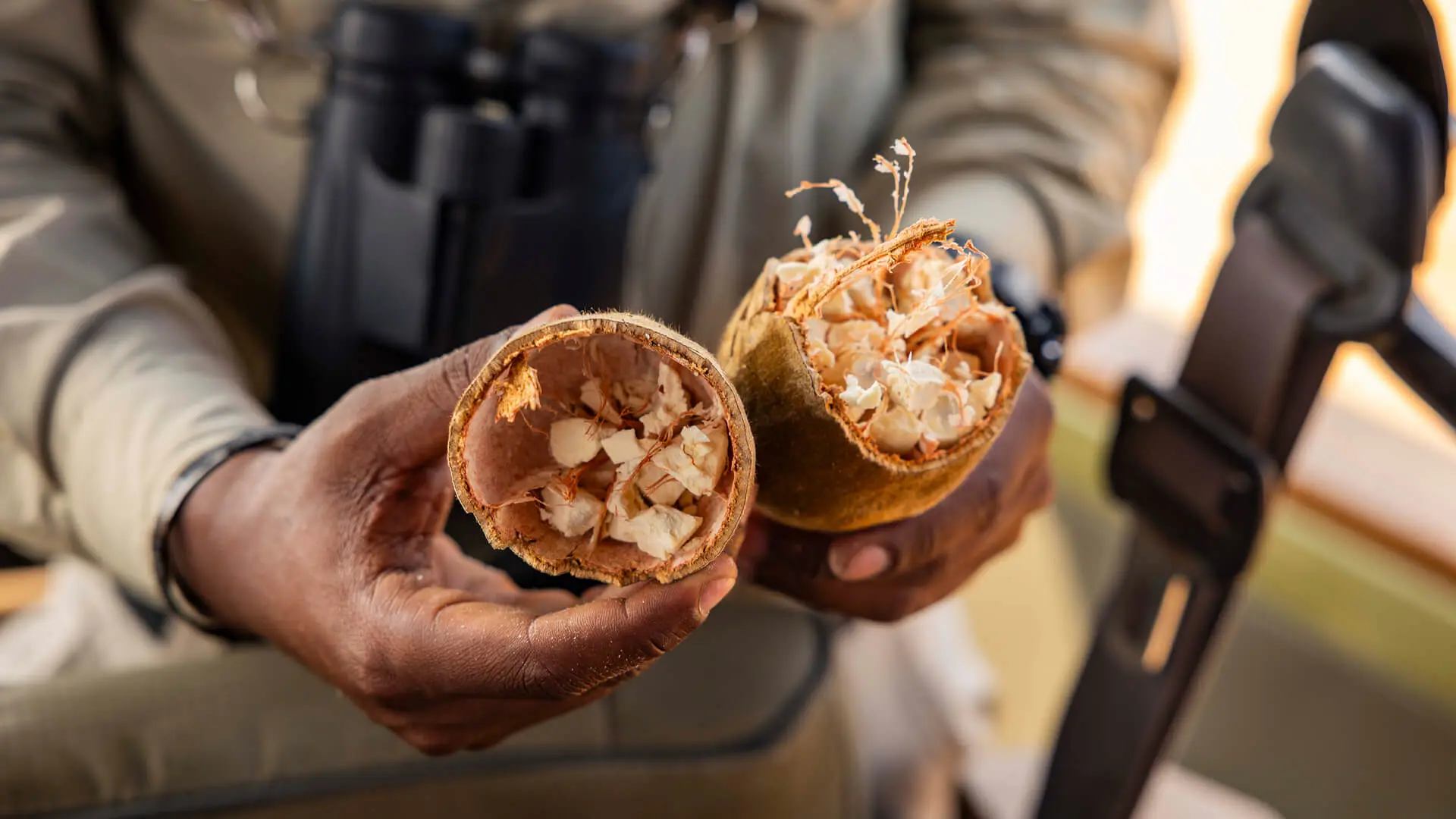 An Asilia guide opens a wild seed pod to show guests the insides