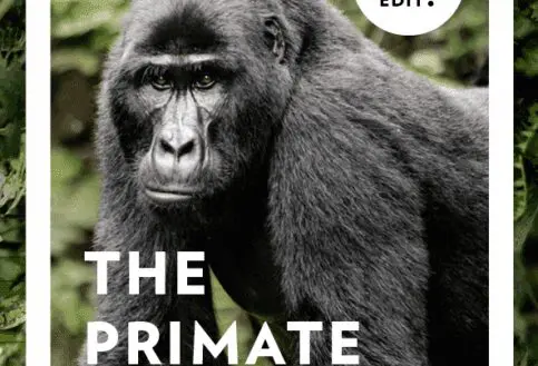 Small Group Tours Itinerary Editions Cards Primate