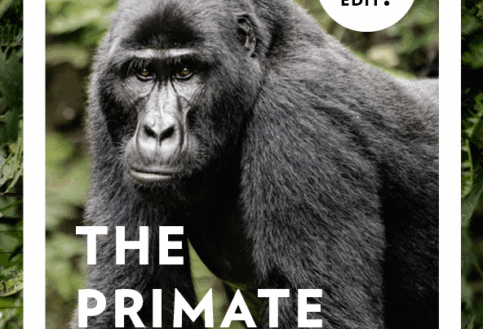 Small Group Tours Itinerary Editions Cards Primate