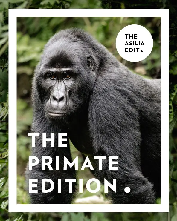 Small Group Tours Itinerary Editions Cards Primate