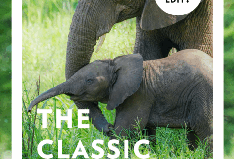 Small Group Tours Itinerary Editions Classic