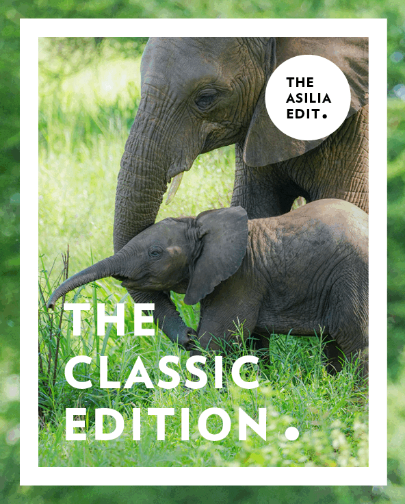 Small Group Tours Itinerary Editions Classic