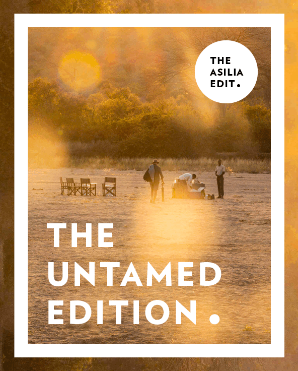 Small Group Tours Itinerary Editions Untamed