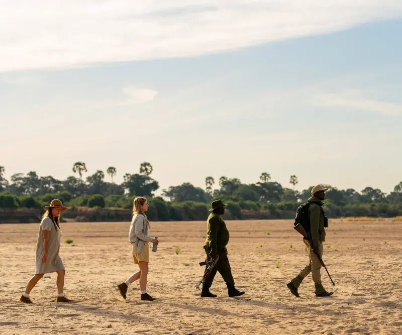 A walking safari in Ruaha National Park.