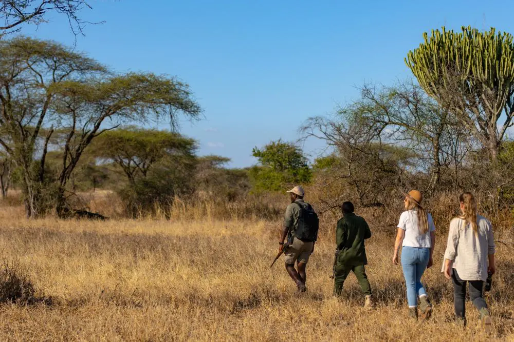 A walking safari in the Usangu Wetlands, southern Ruaha, Tanzania
