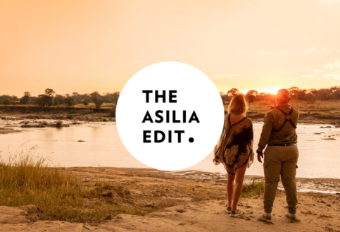 Asilia Edit Blog Cover Image 1 1