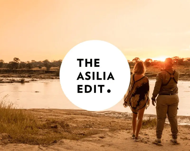 Asilia Edit Blog Cover Image 1 1