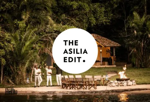 Asilia Edit Blog Cover Image