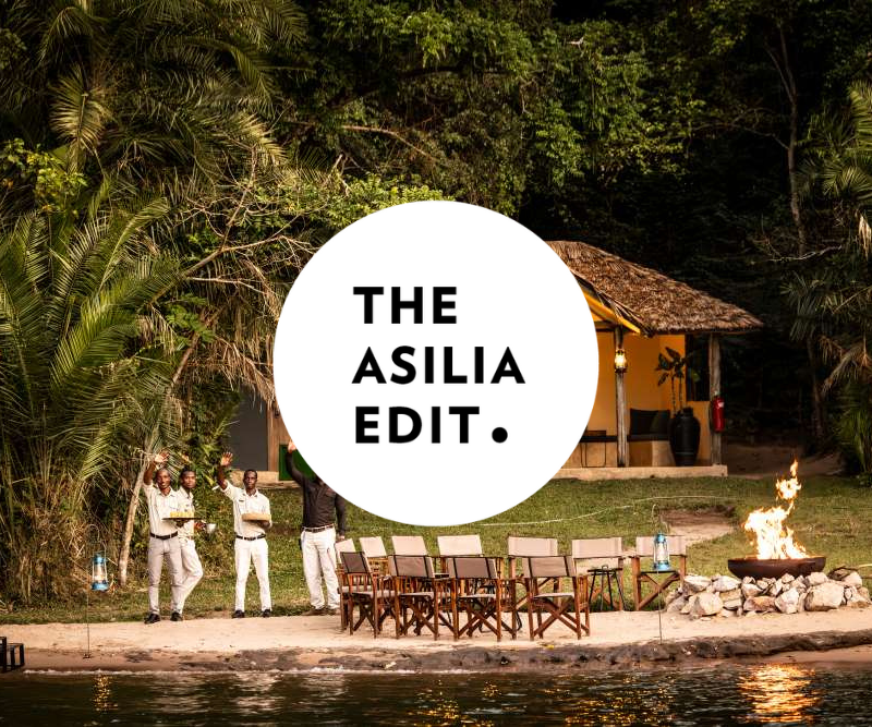 Asilia Edit Blog Cover Image