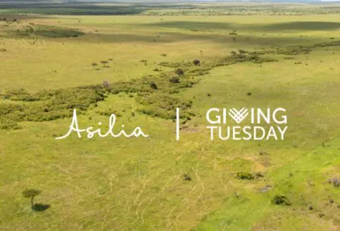 The Mara Naboisho Conservancy