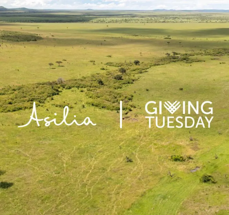 The Mara Naboisho Conservancy