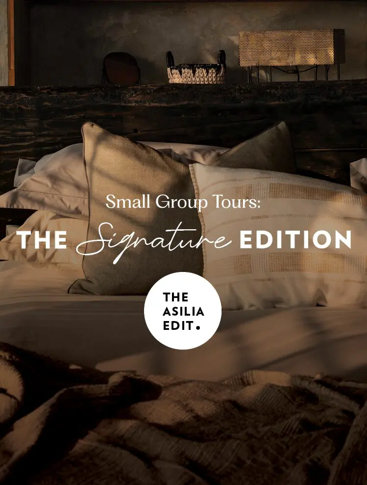 The Asilia Edit Small Group Tours - Signature Edition