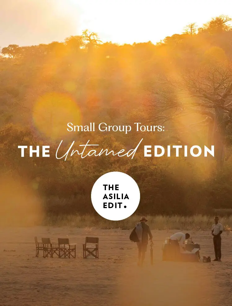 The Asilia Edit Small Group Tour - Untamed Edition