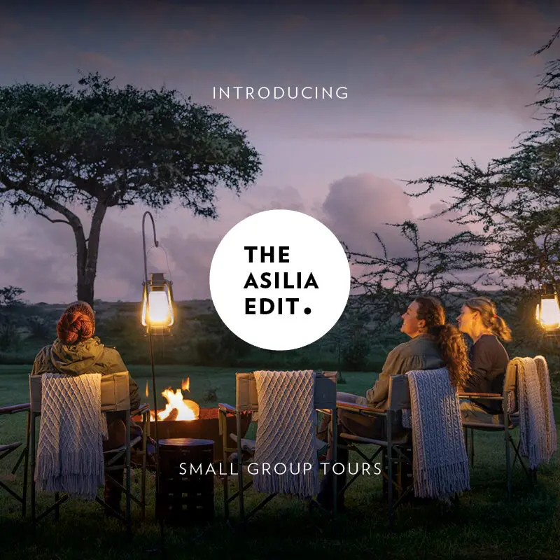 group of girls sat around the camp fire on safari in east africa