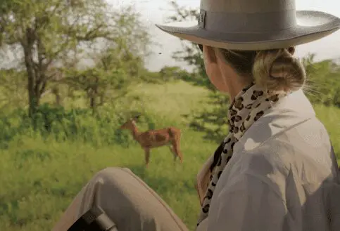 lady watching wildlife east africa