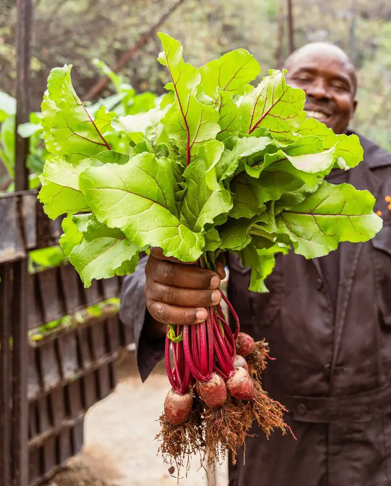 Emboo farm-to-fork