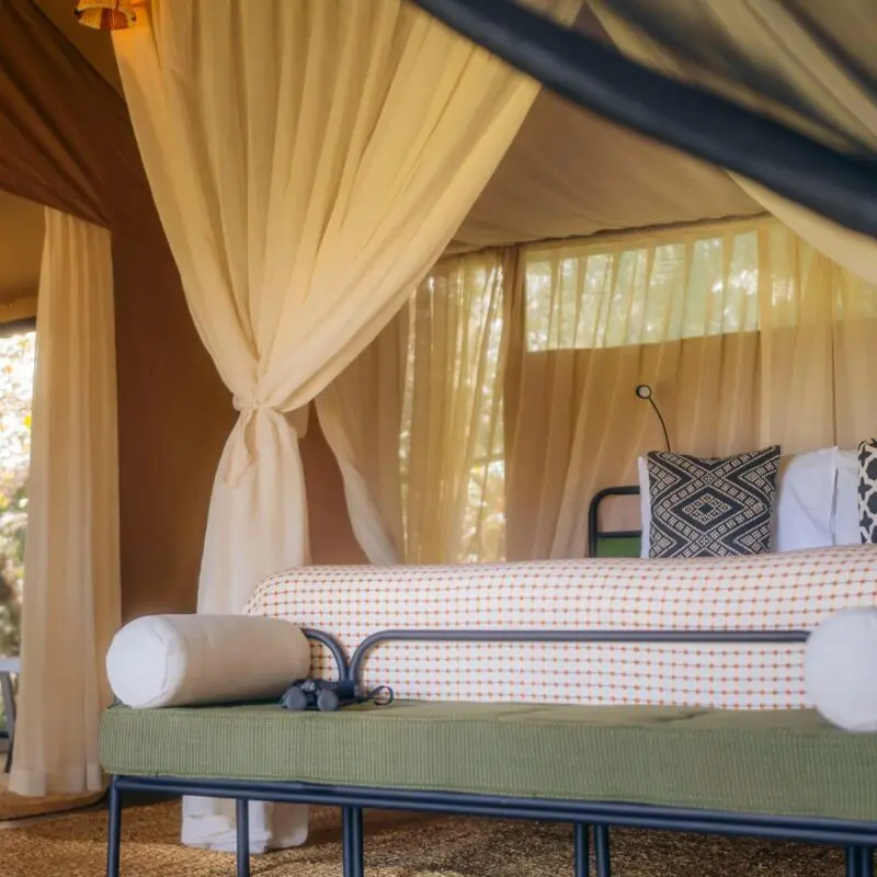 Emboo guest tent interior