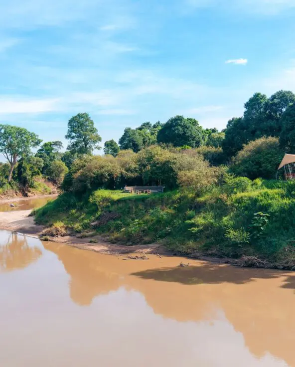 Emboo River tucked in the foliage on the banks of the river