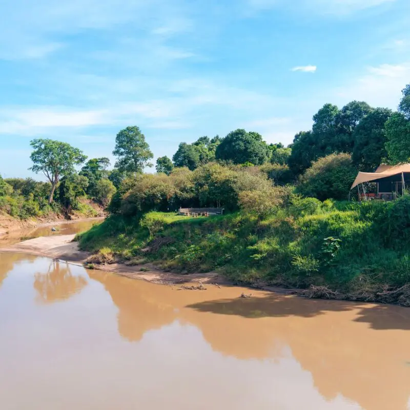 Emboo River tucked in the foliage on the banks of the river