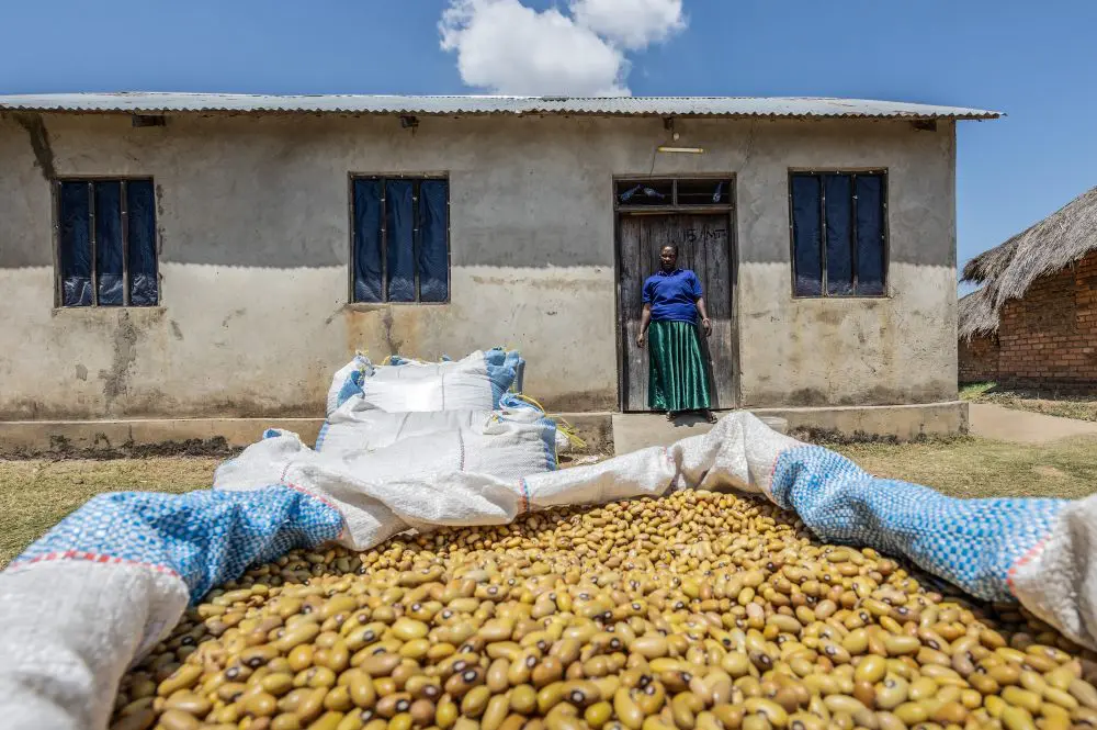 A farmer stands with her improved yield of legumes, southern Tanzania.