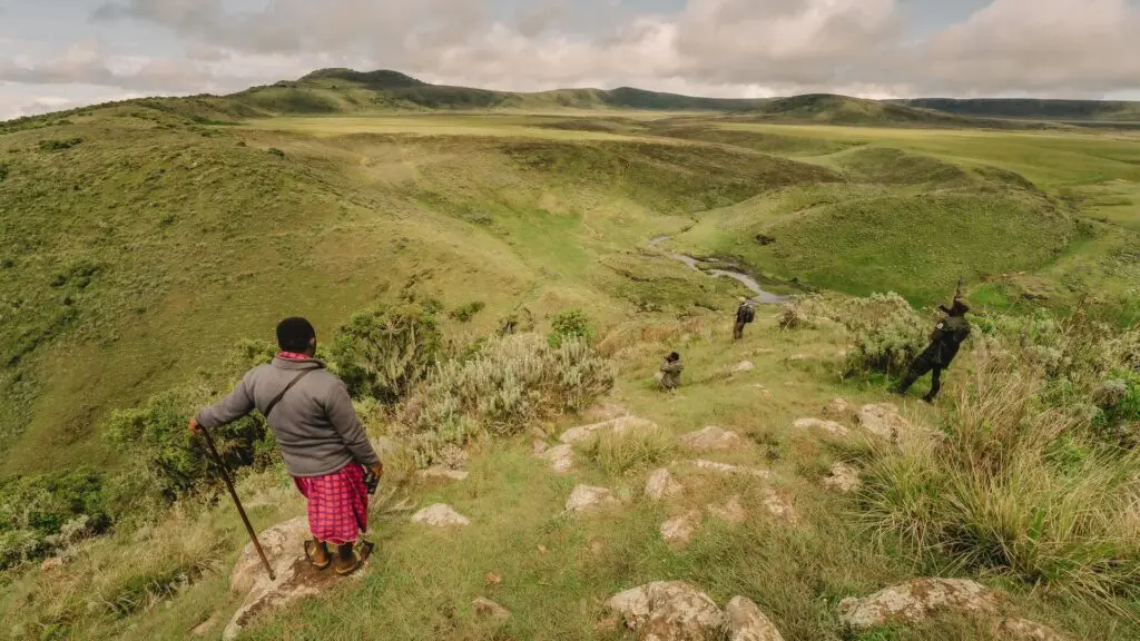 a local safari guide stands and observes the area near to the highlands ngorongoro crater east africa