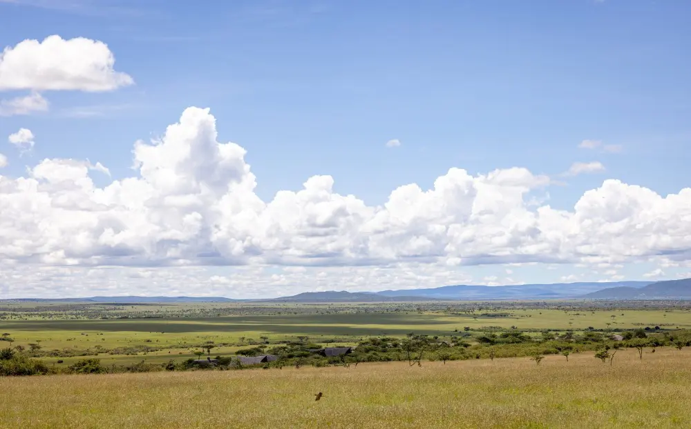 The open plains of the Mara Naboisho Conservancy, Kenya.