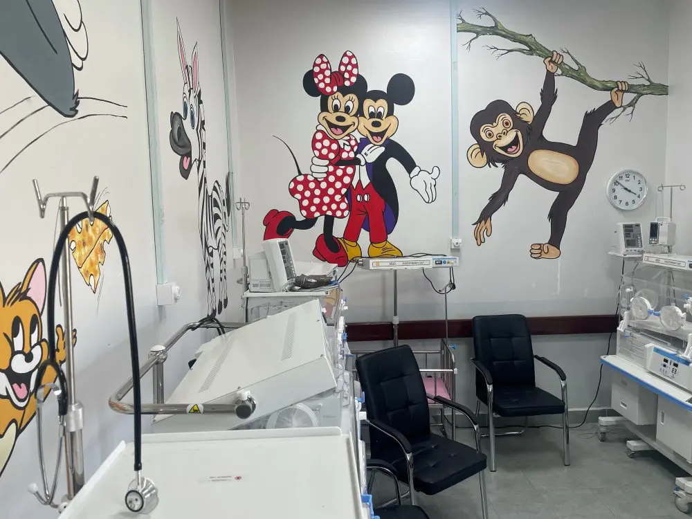 Cartoon characters on the walls within the child health centre, Kenya.