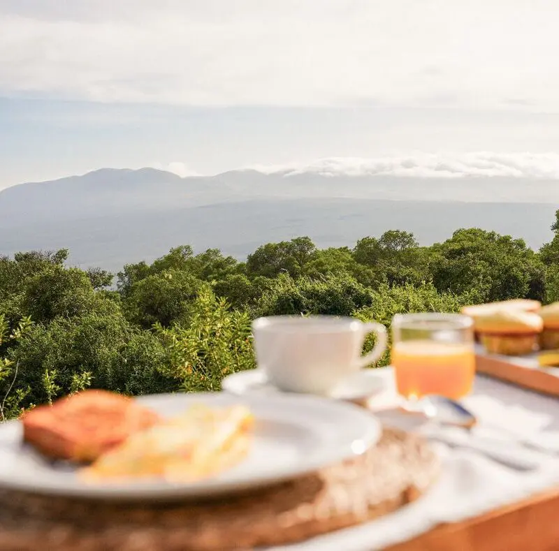 A breakfast table set with coffee, juice, and pastries in the foreground, overlooking lush green forest and distant misty mountains in the Ngorongoro Highlands under soft morning light.