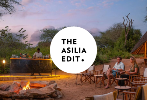 Asilia Edit Blog Cover Image 2