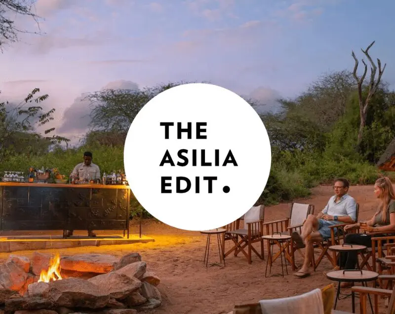 Asilia Edit Blog Cover Image 2