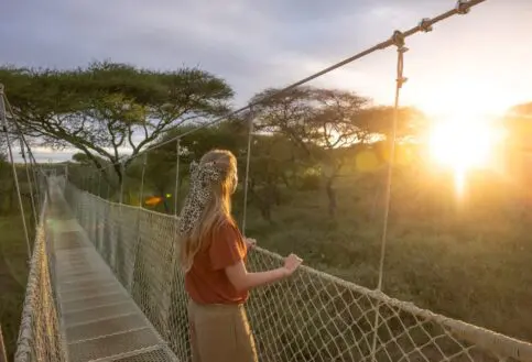 A guest enjoys the view from the elevated bridge in Oliver's Camp, Tarangire National Park.