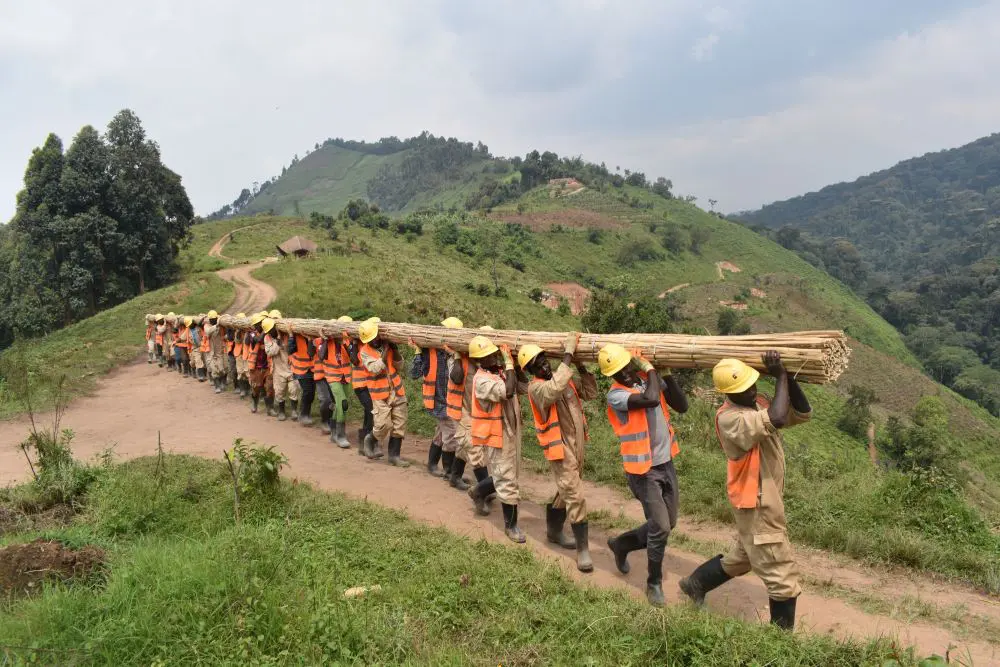 Workmen carrying a split beam, Uganda.